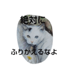 鬼才の画家（個別スタンプ：3）
