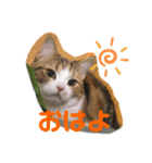 レモンだにょ！（個別スタンプ：2）