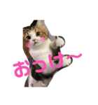 レモンだにょ！（個別スタンプ：3）