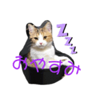 レモンだにょ！（個別スタンプ：4）