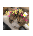 レモンだにょ！（個別スタンプ：6）