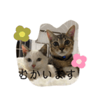 ミルクココアバニラ乗せ（個別スタンプ：4）