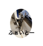 ミルクココアバニラ乗せ（個別スタンプ：17）
