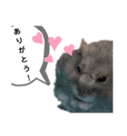 はむ ありがとう！！（個別スタンプ：1）