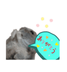 はむ ありがとう！！（個別スタンプ：3）