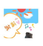 はむ ありがとう！！（個別スタンプ：6）