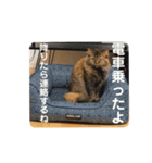 TONOスタンプ2（個別スタンプ：3）
