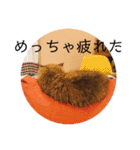 TONOスタンプ2（個別スタンプ：4）