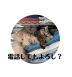TONOスタンプ2（個別スタンプ：25）