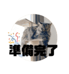 TONOスタンプ2（個別スタンプ：29）