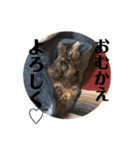 TONOスタンプ2（個別スタンプ：31）