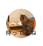 TONOスタンプ2（個別スタンプ：35）