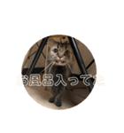 TONOスタンプ2（個別スタンプ：36）