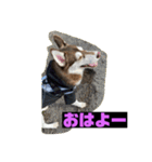 れんちゃんダヨ！！（個別スタンプ：2）