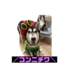 れんちゃんダヨ！！（個別スタンプ：3）