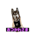 れんちゃんダヨ！！（個別スタンプ：4）
