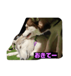 れんちゃんダヨ！！（個別スタンプ：8）