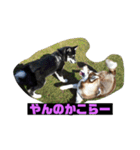 れんちゃんダヨ！！（個別スタンプ：9）