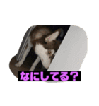 れんちゃんダヨ！！（個別スタンプ：15）