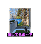 れんちゃんダヨ！！（個別スタンプ：16）
