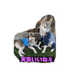 れんちゃんダヨ！！（個別スタンプ：17）