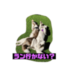 れんちゃんダヨ！！（個別スタンプ：18）