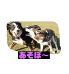 れんちゃんダヨ！！（個別スタンプ：19）
