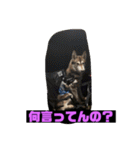 れんちゃんダヨ！！（個別スタンプ：22）