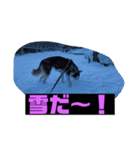 れんちゃんダヨ！！（個別スタンプ：25）