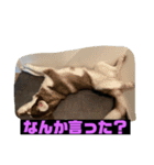 れんちゃんダヨ！！（個別スタンプ：27）