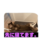 れんちゃんダヨ！！（個別スタンプ：28）