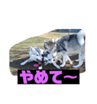れんちゃんダヨ！！（個別スタンプ：29）