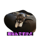 れんちゃんダヨ！！（個別スタンプ：30）