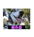 れんちゃんダヨ！！（個別スタンプ：31）