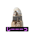 れんちゃんダヨ！！（個別スタンプ：33）