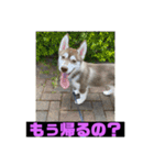 れんちゃんダヨ！！（個別スタンプ：34）