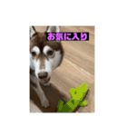 れんちゃんダヨ！！（個別スタンプ：36）