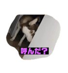 れんちゃんダヨ！！（個別スタンプ：37）