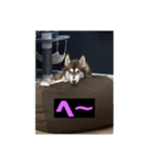 れんちゃんダヨ！！（個別スタンプ：40）