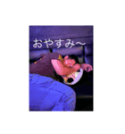 一番星⭐️（個別スタンプ：2）