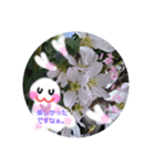 てるてるちゃん。（個別スタンプ：6）