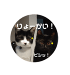 ハク＆ルカスタンプ（個別スタンプ：3）