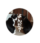 ハク＆ルカスタンプ（個別スタンプ：4）