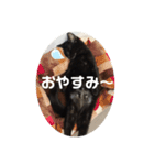ハク＆ルカスタンプ（個別スタンプ：5）