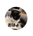 ハク＆ルカスタンプ（個別スタンプ：6）