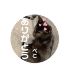 ハク＆ルカスタンプ（個別スタンプ：8）