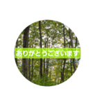 超自然派スタンプ（個別スタンプ：2）