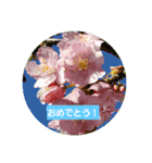 超自然派スタンプ（個別スタンプ：6）