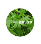 超自然派スタンプ（個別スタンプ：7）