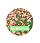 超自然派スタンプ（個別スタンプ：8）